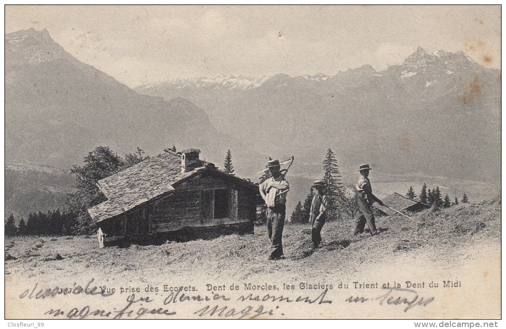 Les Ecovets. Carte Précurseur. Animée En Gros Plan. Oblitérations De Leysin Et Payerne 6.7.1904 - Ayer