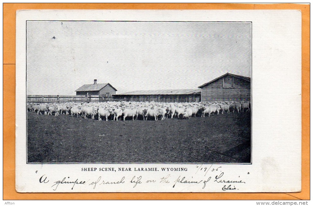 Laramie WY 1905 Postcard - Laramie