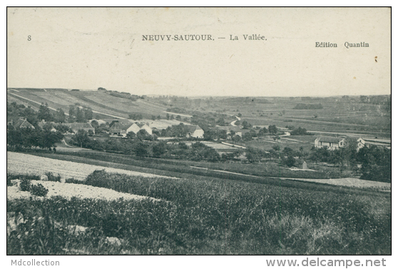 89 NEUVY SAUTOUR / La Vallée / - Neuvy Sautour