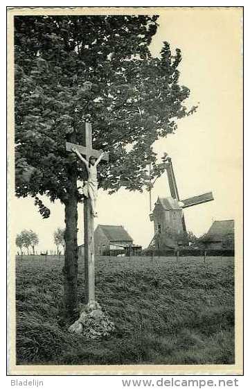 SINT-ELOOIS-WINKEL Bij Ledegem (W.Vl.) - Molen/moulin - De Lindemolen Opgezeild En In Werking Omstreeks 1950. Fraai! - Ledegem