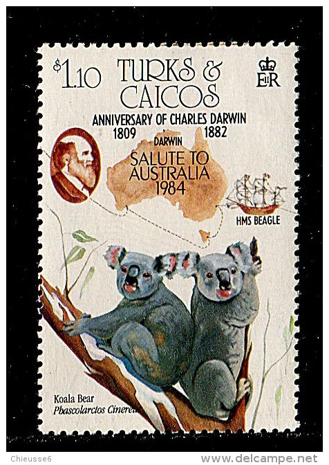 (cl. 3 - P.4)  Turks Et Caiques ** N° 704 (ref. Michel Au Dos) - Koalas - - Turks And Caicos