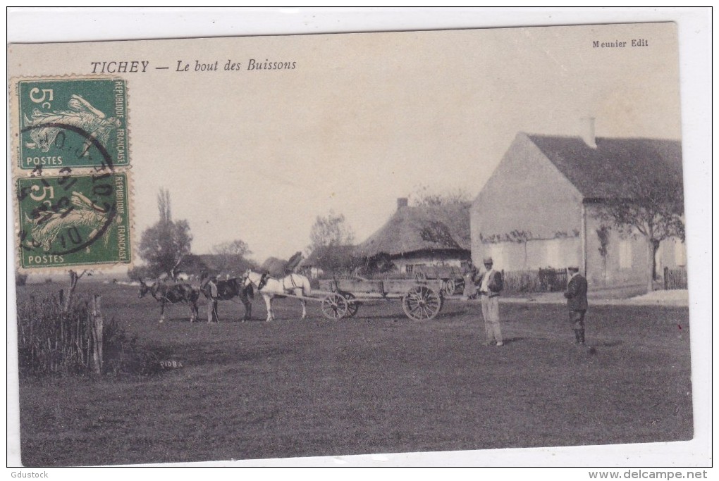 Tichey - Le Bout Des Buissons - Autres & Non Classés