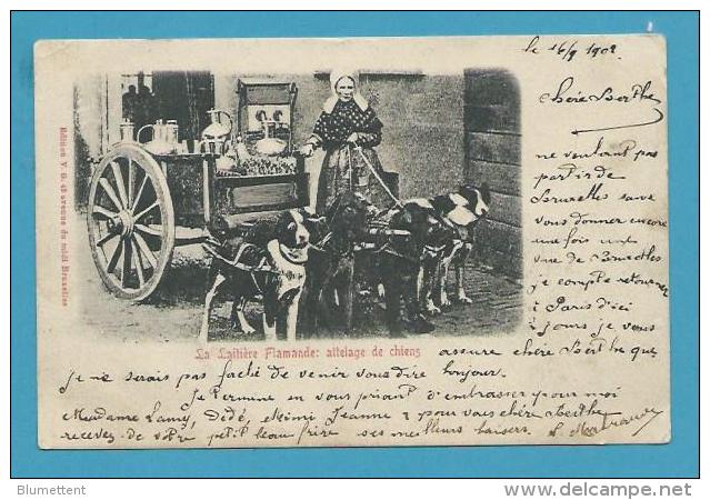 CPA - Voiture à Chiens Métier Marchande De Lait Laitière Flamande - Belgique - Andere & Zonder Classificatie