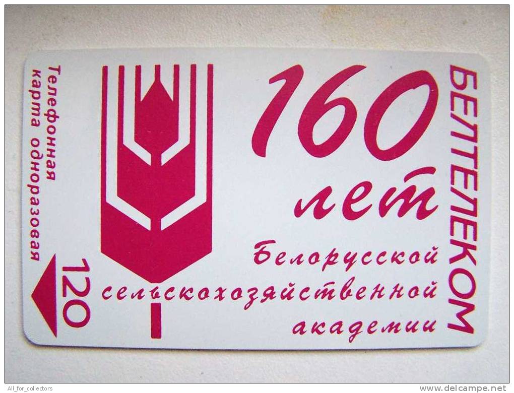 160 Years Agriculture Academy Of BELARUS Beltelecom Chip Phone Card From Weissrussland Carte Karte 120 Units 2 Scans - Belarus