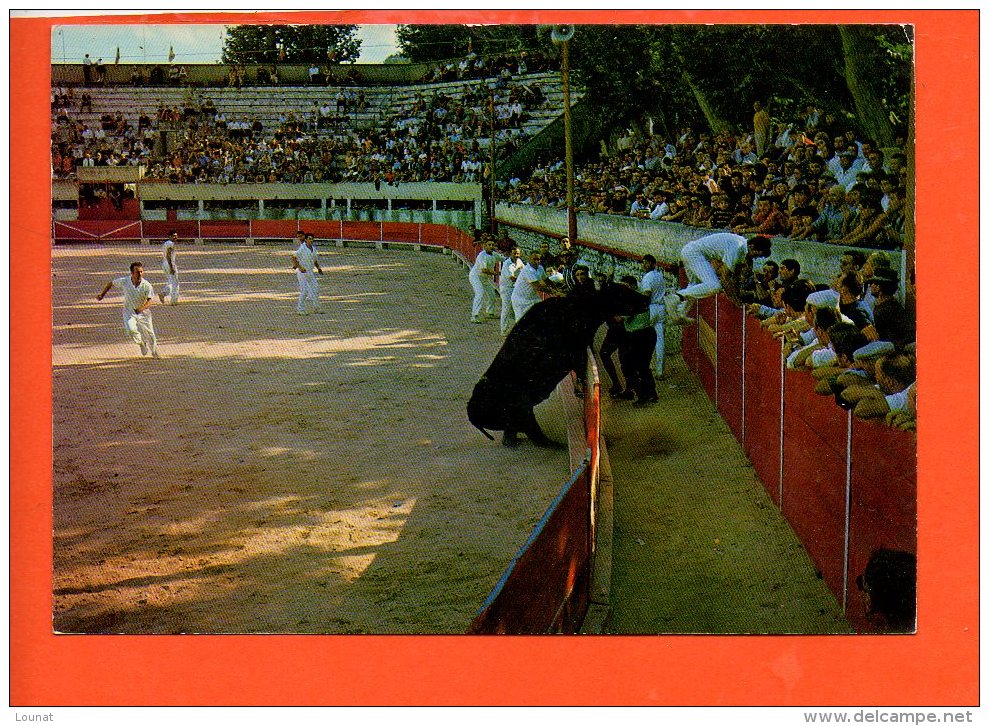 CORRIDA : Un Joli Coup De Barrière - Corrida