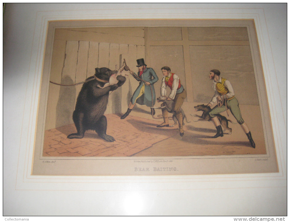 Gravure Of Steendruk London 1820,  BEAR BAITING H. Alken Delft, T. Mac Lean - I, Clark Sculpt. - Dogs Fighting A Bear - Autres & Non Classés