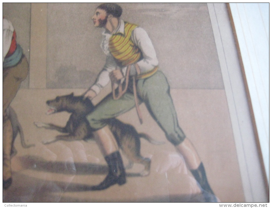 Gravure Of Steendruk London 1820,  BEAR BAITING H. Alken Delft, T. Mac Lean - I, Clark Sculpt. - Dogs Fighting A Bear - Autres & Non Classés