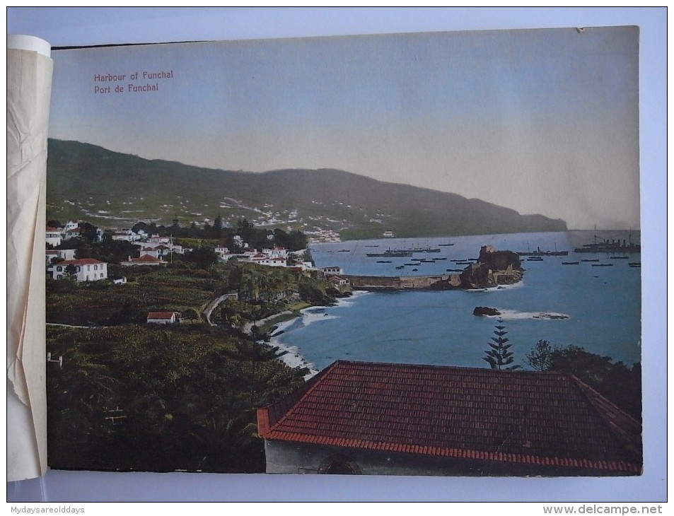 1 BOOK - PORTUGAL PORTUGUESE !!! VERY RARE !!! MADEIRA IMAGES PICTURES VERY OLD BOOK (15 SCANS)