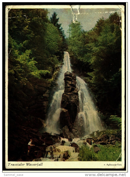 Trusentaler Wasserfall In Thüringer Wald   -  Ansichtskarte Ca. 1960  (5382) - Bad Liebenstein