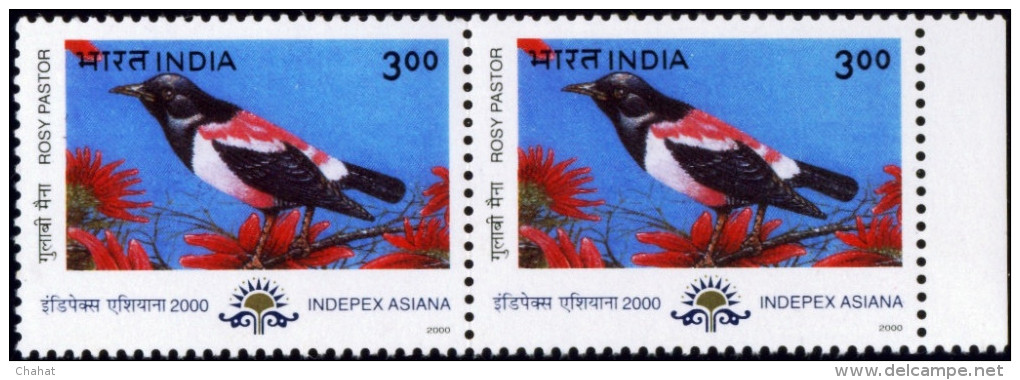 MIGRATORY BIRDS-ROSY PASTOR-PAIR-INDIA-MNH-B6-688 - Spechten En Klimvogels