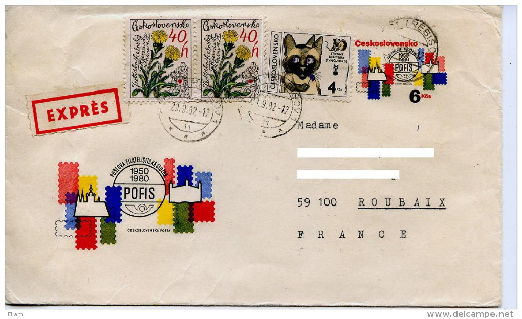 Entier Postale,service Philatelique POFIS Tchecoslovaquie,chateau Hradcany Prague,chateau Bratislava,fleurs,chat,lettre - Correo Postal