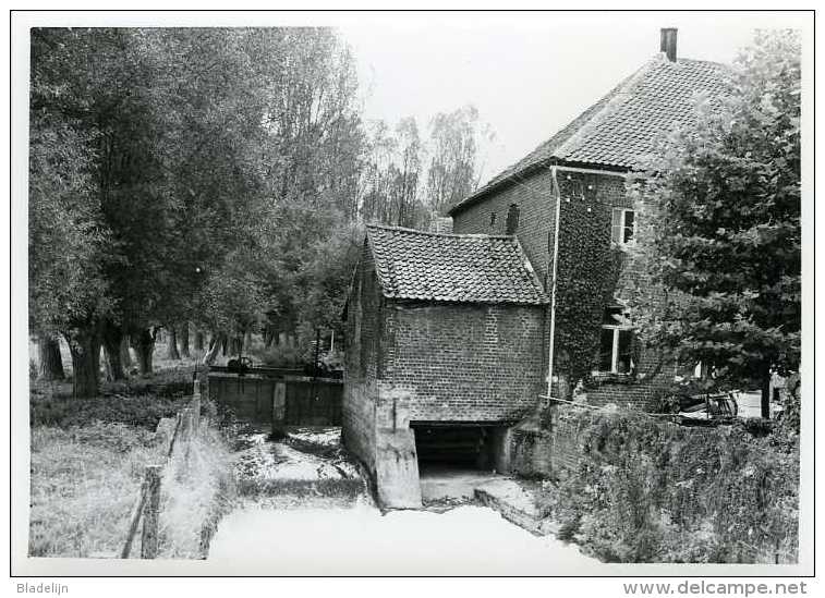 OVERIJSE (Vlaams-Brabant) - Molen/moulin - Echte Foto Van De Watermolen Van Terlanen Met Overdekt Rad Omstreeks 1983. - Places