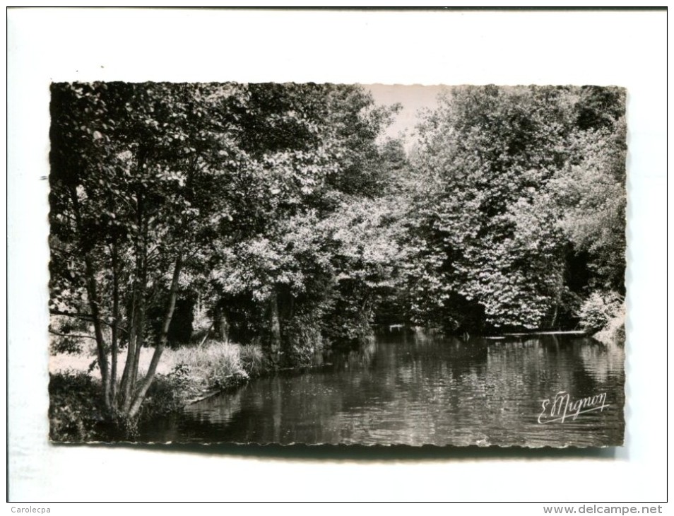 CP - Ferrieres En Gatinais (45),LES BORDS DU CLERY RIVIERE A TRUITES - Dordives