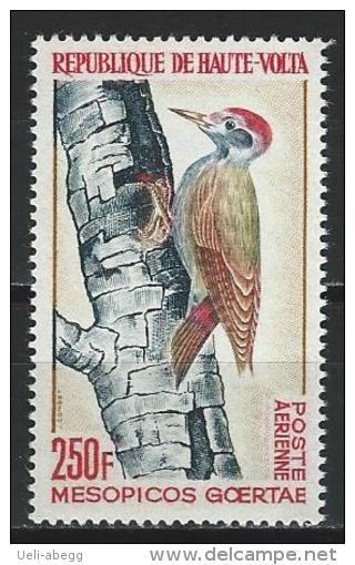 Haute-Volte 1964 Mi 153 ** MNH Mesopicos Goertae - Pics & Grimpeurs