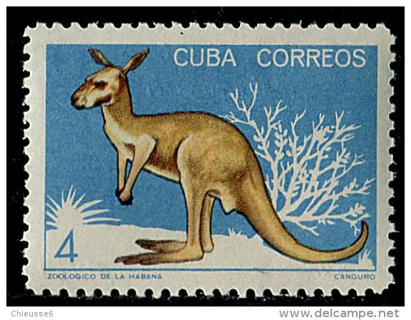 (cl. 3 - P8)  Cuba ** N° 771 (ref. Michel Au Dos) - Le Kangourou - - Unused Stamps