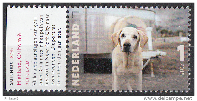 Nederland - Charlotte Dumas - Guineness, 2011 - Golden Retrriever - MNH - NVPH 3331 - Honden