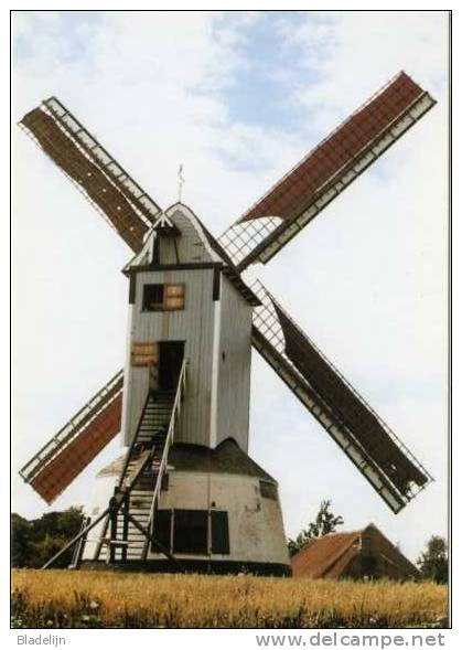 GISTEL (W.Vl.) - Molen/moulin - De Oostmolen Opgezeild En In Werking, Kort Na De Herbouw / Restauratie Van 1984 - Gistel