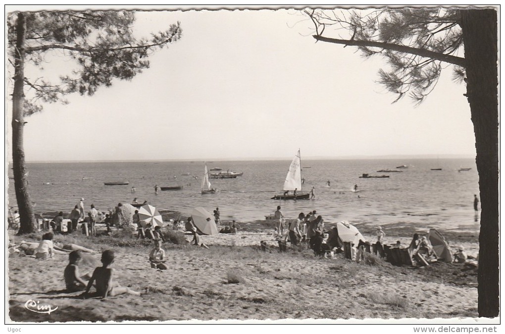 CPSM P.F.  - 33  - ANDERNOS - La Plage Du Mauret -  059 - Andernos-les-Bains