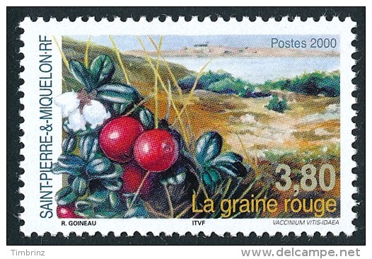 ST-PIERRE ET MIQUELON 2000 - Yv. 710 ** TB  Faciale= 0,58 EUR - Flore : La Graine Rouge ..Réf.SPM10983 - Neufs