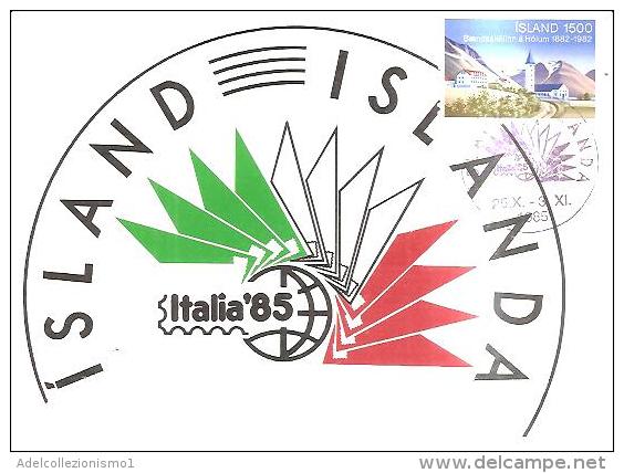 75436) Cartolina Maxmum  Della Islanda  Con 1500. Baendaskolinn A Holum 100° + Annullo Speciale Italia 85 - Maximum Cards