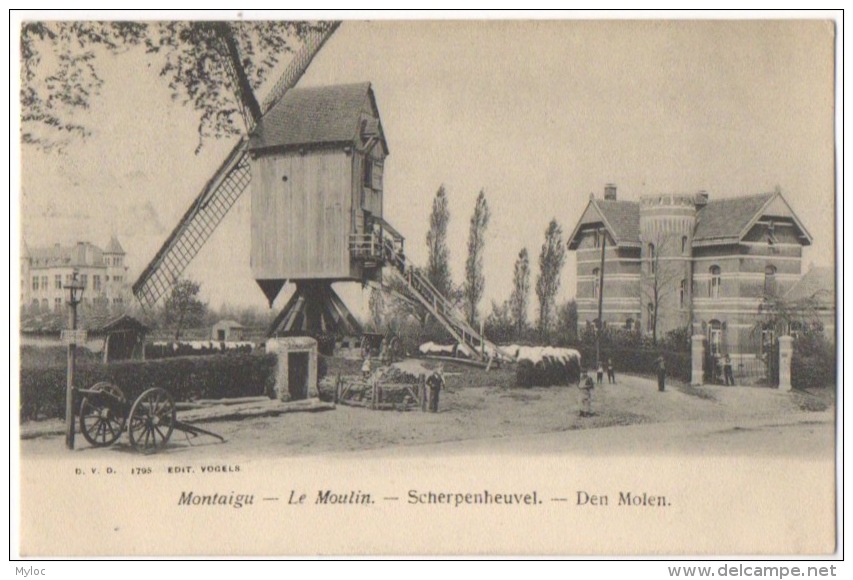 Montaigu. Le Moulin / Scherpenheuvel. Den Molen. - Scherpenheuvel-Zichem