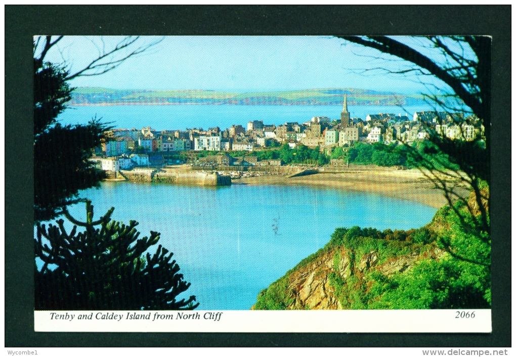 WALES  -  Tenby And Caldey Island  Unused Postcard As Scan - Pembrokeshire