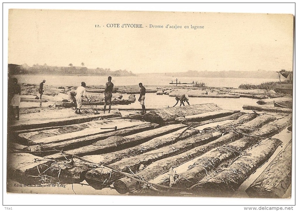 S3875- Drome D' Acajou En Lagune - Côte-d'Ivoire