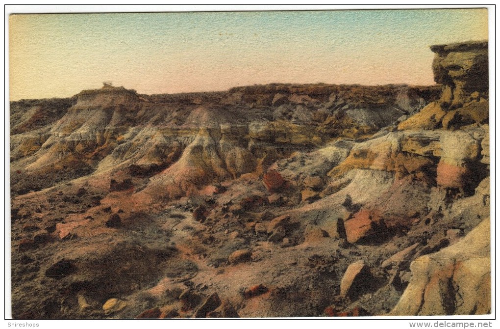 Painted Desert In The Rainbow Forest, Adamana, Arizona - Other & Unclassified