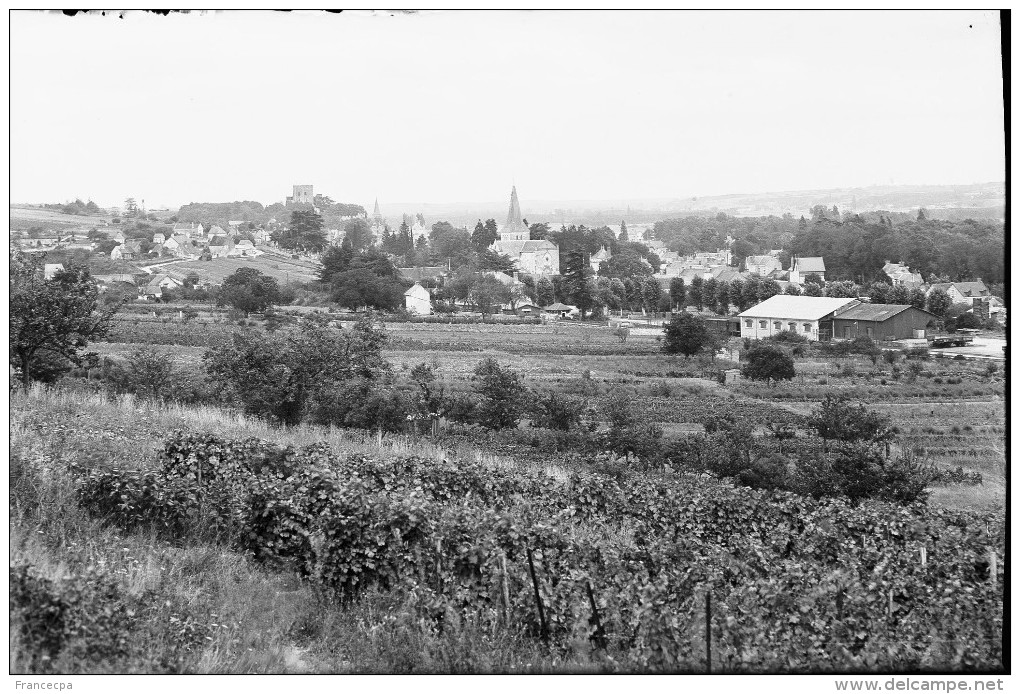 PN - 06 - LOIR ET CHER - MONTRICHARD - Vue Générale - Plaques De Verre