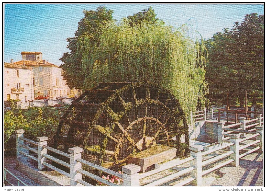 Vaucluse :  ISLE  Sur  SORGUE  : La  Grande R Oue  A  Aubes Du Jardin Public Saule  Pleureur - L'Isle Sur Sorgue