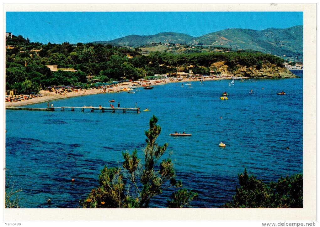 ISOLA D' ELBA   CAPOLIVERI   SOIAGGIA  DI  NAREGNO   (VIAGGIATA) - Altri & Non Classificati