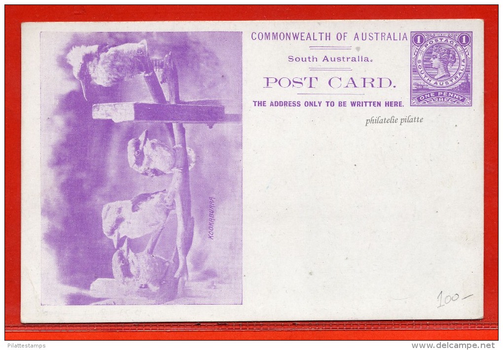 AUSTRALIE DU SUD 1 P NEUF OISEAU - Covers & Documents