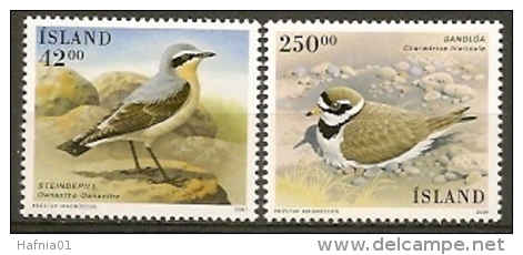 Iceland 2001. Birds.   Michel  996-97 MNH. - Nuovi