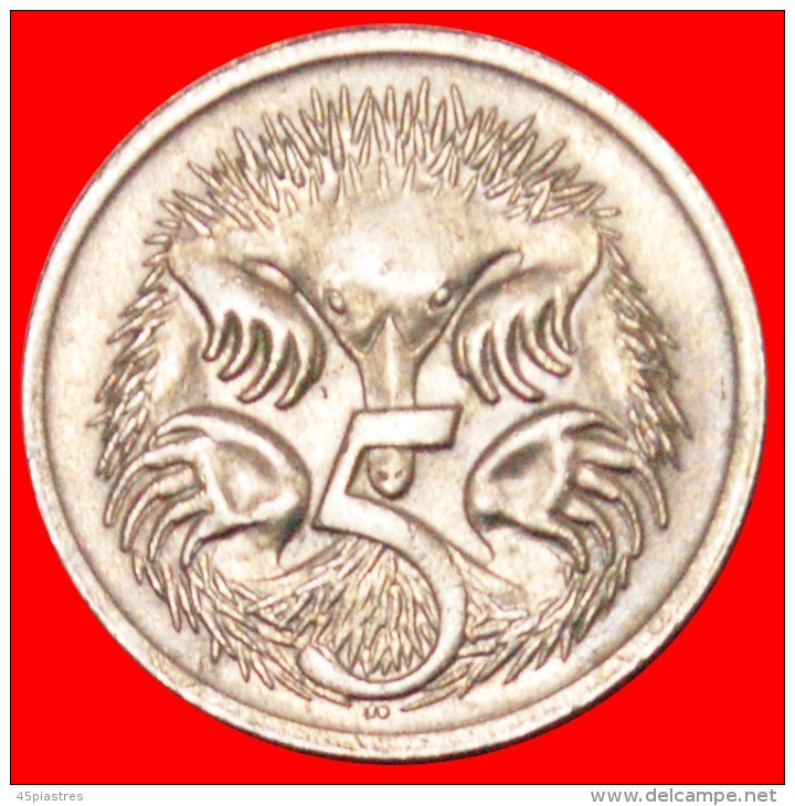 * ECHIDNAS (1966-2022): AUSTRALIA ★ 5 CENTS 1968! LOW START&#9733; NO RESERVE! - 5 Cents