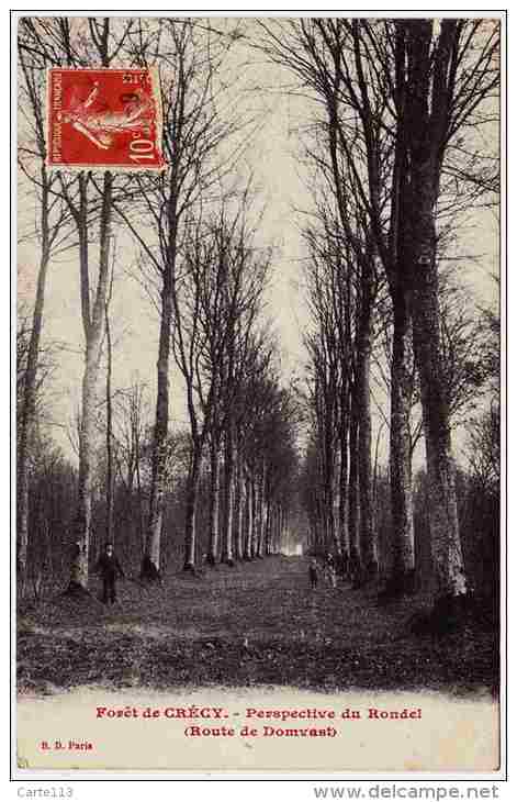 80 - B24001CPA - CRECY - Foret -Perspective Du Rondel - Route De Domvast - Parfait état - SOMME - Crecy En Ponthieu