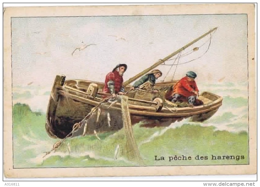 Cromo   LA PECHE DES HARENGS - Lombart