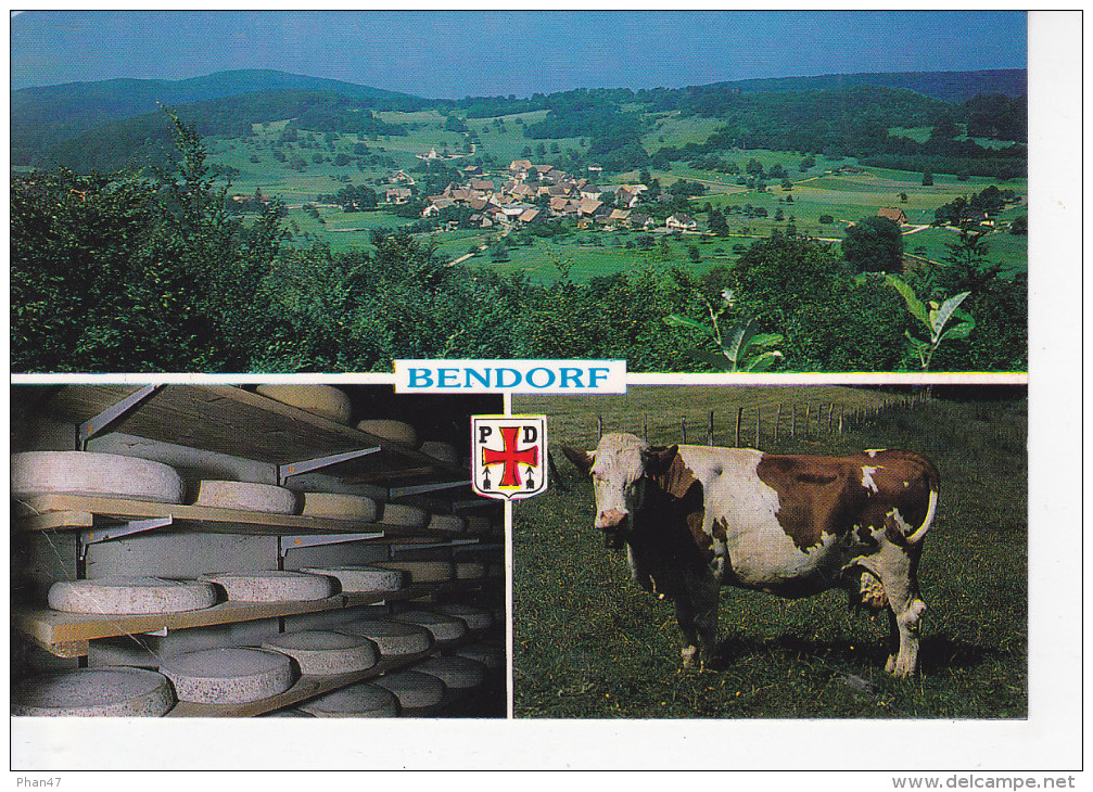 BENDORF (68-Haut-Rhin), Fromage Fermier Carol Et Jean-Pierre JUEN, Vache Laitière Laborieuse, Cave D'affinage, Ed. Hansi - Autres & Non Classés