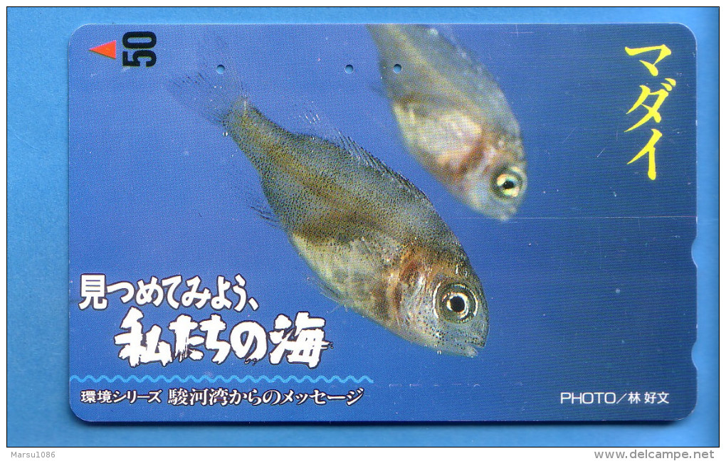 Japan Japon Telefonkarte Phonecard Télécarte  -   Fisch Fische Fish Poissons Poisson - Poissons