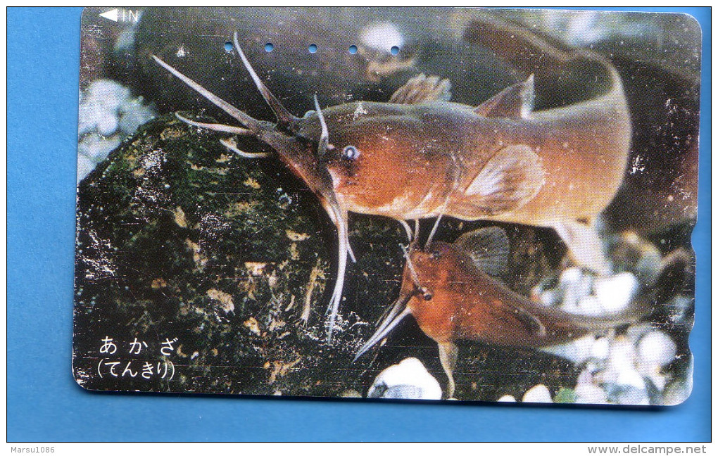 Japan Japon Telefonkarte Phonecard Télécarte  -   Fisch Fische Fish Poissons Poisson - Poissons