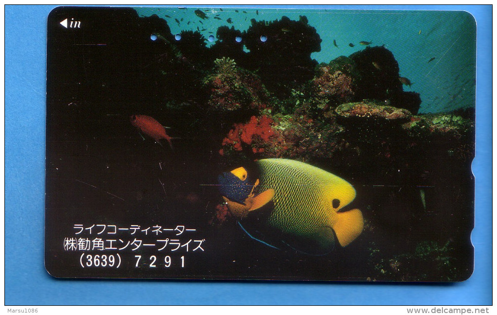 Japan Japon Telefonkarte Phonecard Télécarte  -   Fisch Fische Fish Poissons Poisson - Vissen