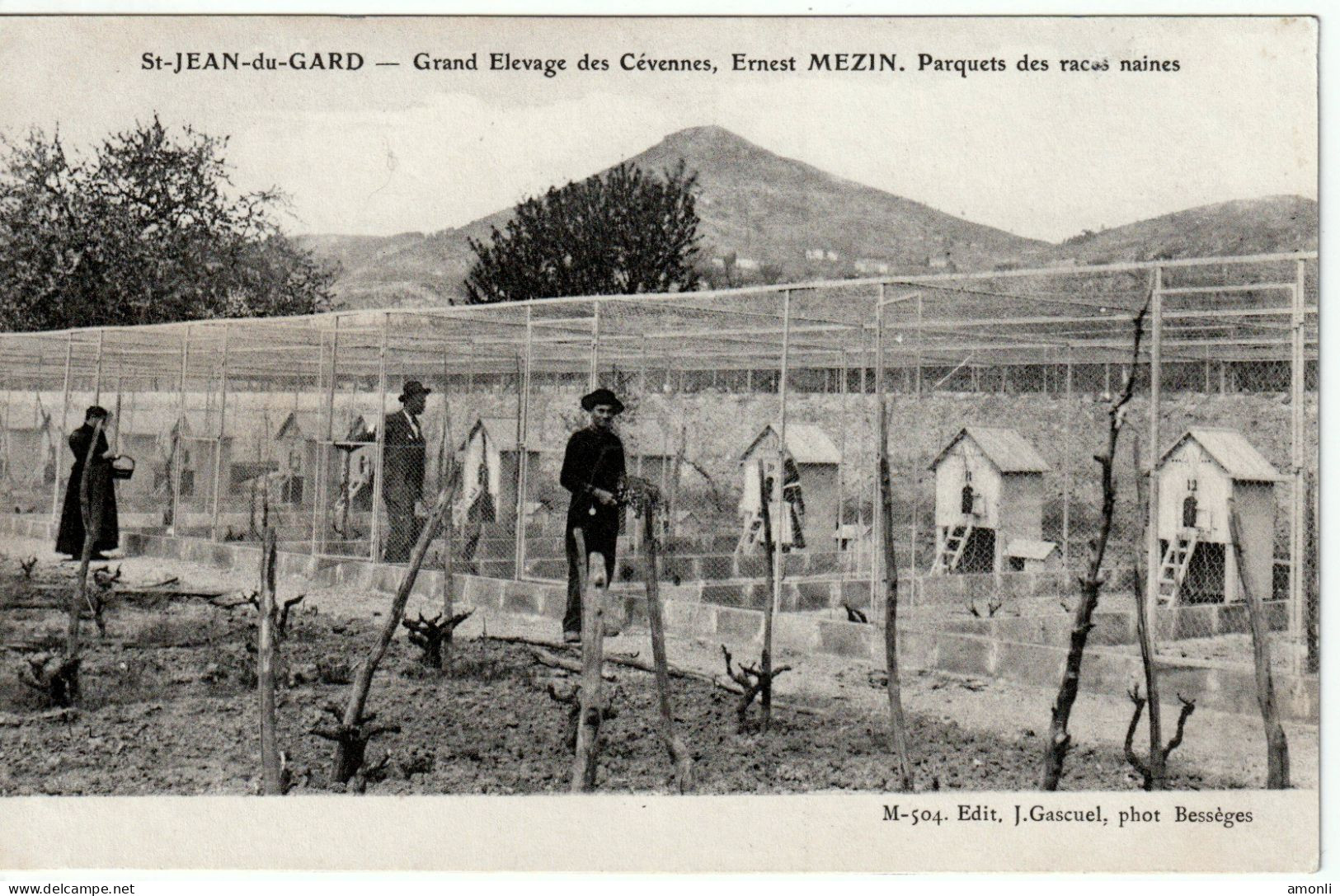 30. GARD - ST-JEAN DU GARD. Grand Elevage Des Cévennes , E. Mazin. Parquets Des Races Naines. - Saint-Jean-du-Gard