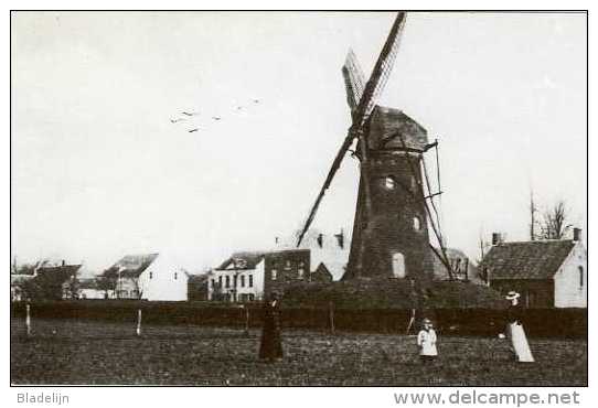 ESSEN (Prov. Antwerpen) - Molen/moulin - De Stenen Bergmolen Van Aerden, Thans Nog Romp (retro-prentkaart Uit 1981) - Essen