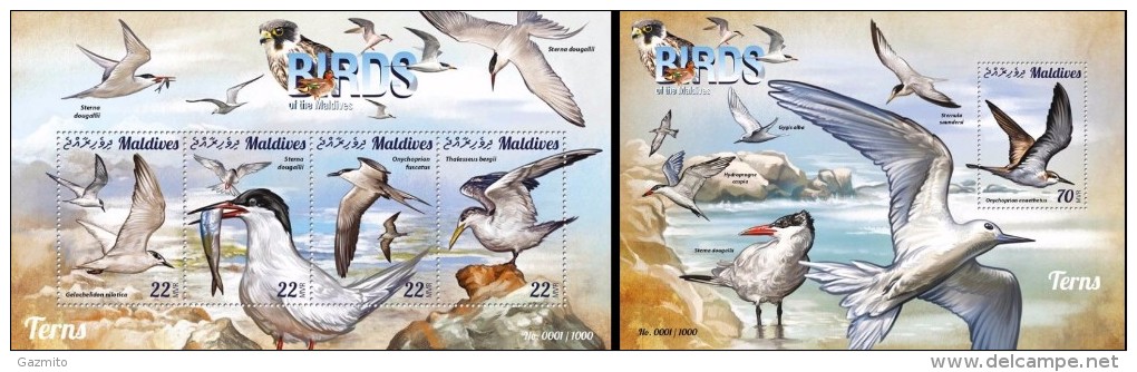 Maldives 2015, Birds, Terns, 4val In BF +BF - Albatros & Stormvogels