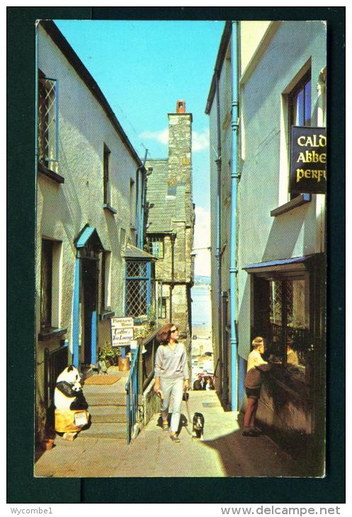 WALES  -  Tenby  Plantagenet House  Unused Postcard As Scan - Pembrokeshire