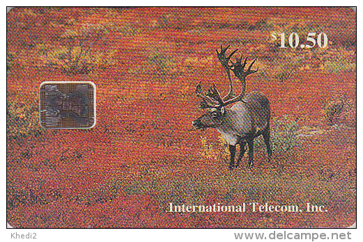 Télécarte à Puce USA ALASKA - Animal - RENNE - REINDEER Chip Phonecard - HIRSCH TK - - Biche 92 - Cartes à Puce