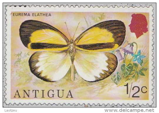 Antigua 1975. ~ YT 379** - Papillon Eurema Elathea - 1960-1981 Autonomie Interne