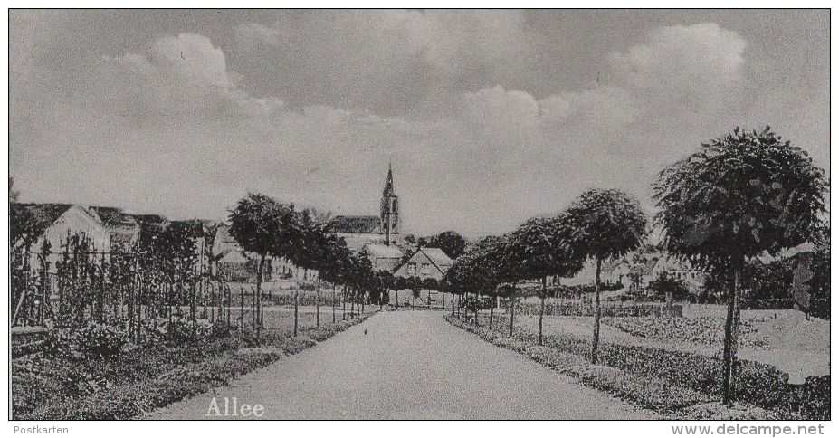 ALTE POSTKARTE GRUSS AUS BINSFELD EIFEL BEI WITTLICH GASTHAUS JAKOB FABER MOTORRAD Moto Motorbike Ansichtskarte Cpa - Wittlich