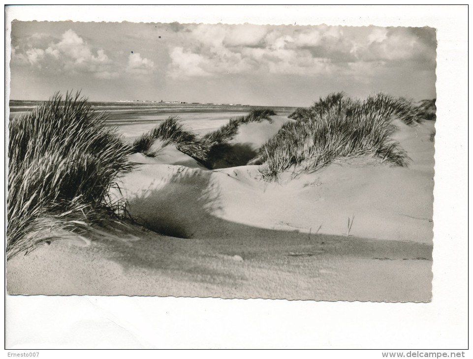 PK-CP Deutschland, Borkum, Gebraucht, Siehe Bilder! *) - Borkum