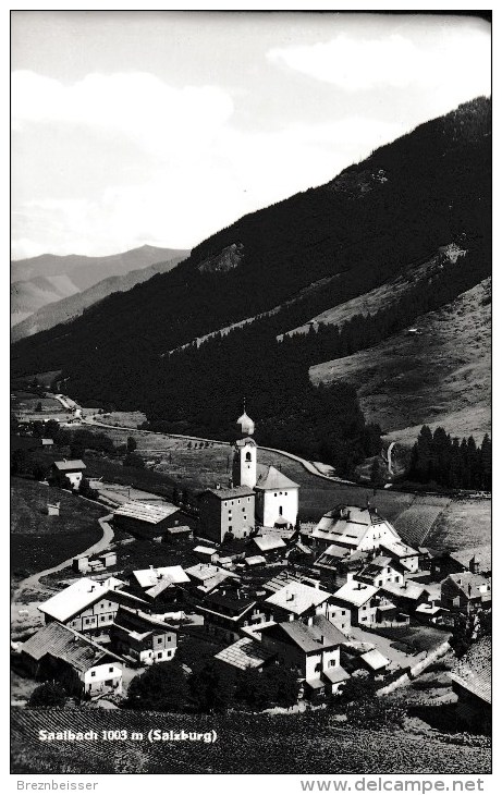 AK SAALBACH 1003m , (Salzburg) - Karte Nicht Gel. - Saalbach