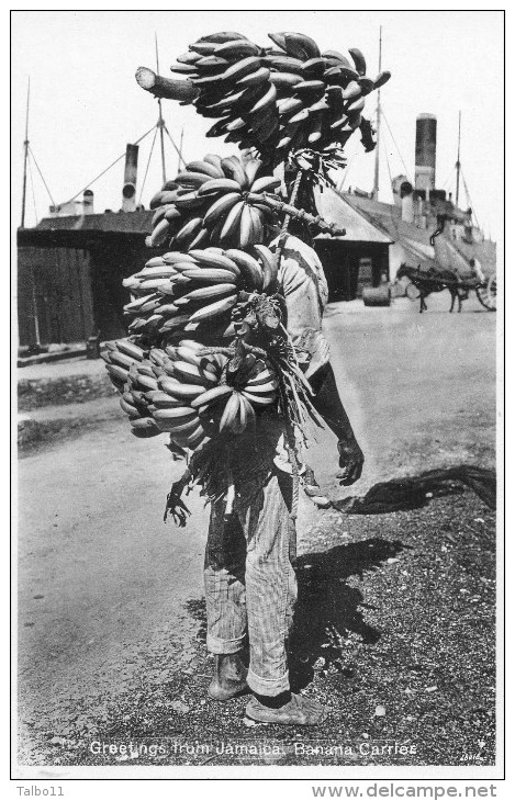 Greeting From Jamaîca - Banana Carrier - Jamaica